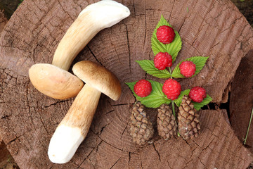 Дары леса 7 © sh_aa