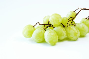 uva bianca 