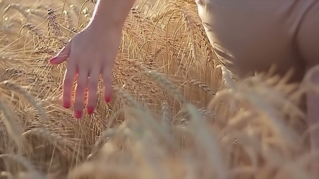 Girl On Cereal Field