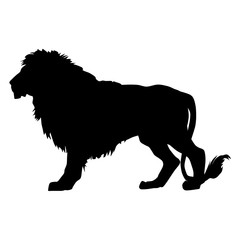 Naklejka premium silhouette of a lion