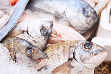 Fresh fish closeup at the seafood market