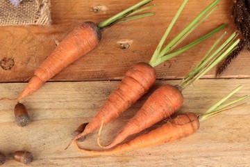 fresh carrot on wood background