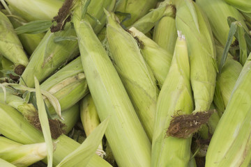 Farmers Market Corn