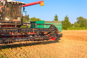 Harvester in the field of barley