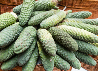 Exotic fruit monstera deliciosa in Madeira