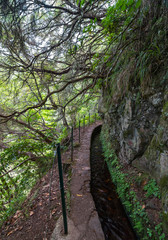 Levada walk in Madeira