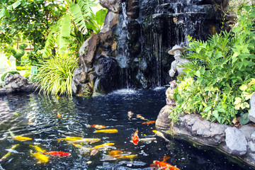 Small pond with a waterfall and koi carps fish at Wat Phra Kaew, Emerald Buddha Temple, Bangkok,...