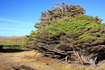 Landschaft-Falklandinseln