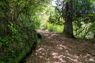 Levada walk in Madeira island