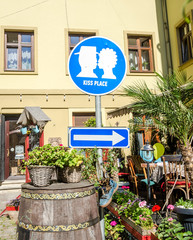 Fototapeta na wymiar Blue sign pointer place of kisses in flowers the street of Lviv