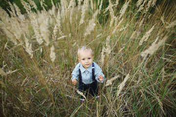Naklejka na ściany i meble little boy portrait in high grass