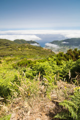 Fototapeta na wymiar Plateau Paul da Serra in Madeira island