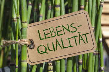 Lebensqualität