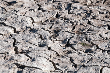dürres Land