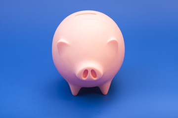 Pink piggy bank on blue background