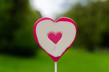 heart lollipop outdoor in front of green natural background