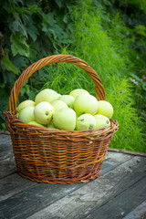 White apple variety Papirovka in a wicker basket on an old woode
