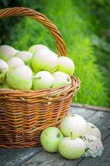 White apple variety Papirovka in a wicker basket on an old woode