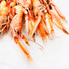 Shrimp cocktail background over white Ice on a market stall clos