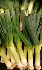 Leeks at a produce stand