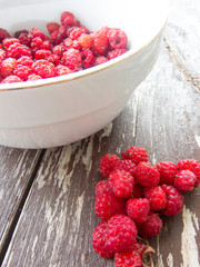 Heap of wild raspberries and a bowl 