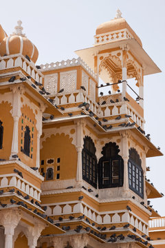 Pigeons roosting on the jharokhas, or overhanging balconies, of the 17th century palace at Deogarh, Rajasthan