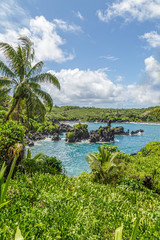 Waianapanapa State Park, home to a black beach, a popular destination on the Road to Hana on Maui, Hawaii