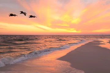 Tableaux ronds sur aluminium brossé Plage et mer Des pélicans survolent la plage au coucher du soleil