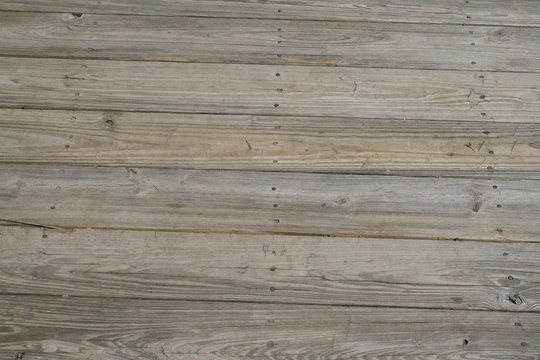 Legno