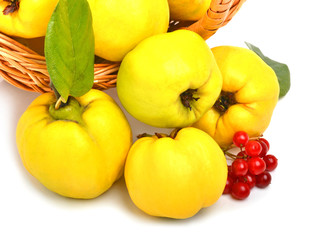 quince in the basket isolated on white background