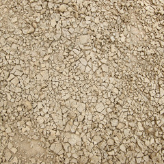 Texture cracked earth