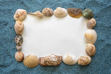 frame of shells on blue sand