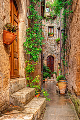 Alley in old town Pitigliano Tuscany Italy - obrazy, fototapety, plakaty
