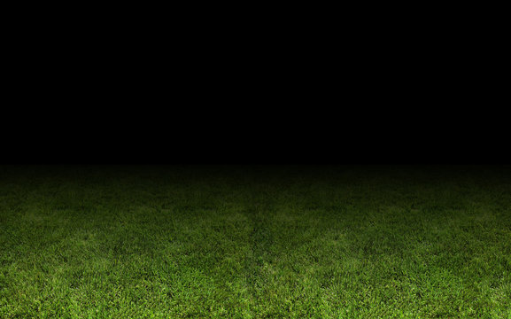grass at the stadium.