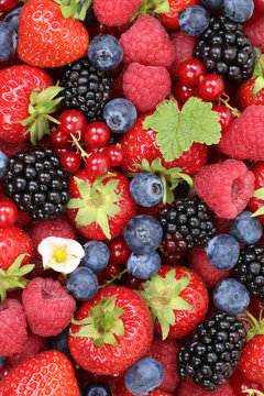 Früchte Beeren Hintergrund mit Erdbeeren, Himbeeren und rote Jo
