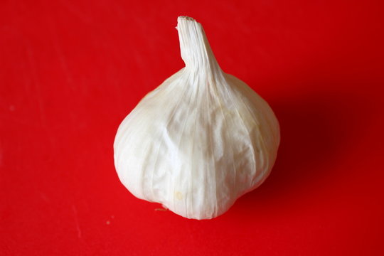 Knoblauchzwiebel