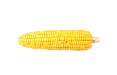  Corn on white background