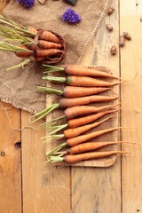 Fresh carrots on the wood background