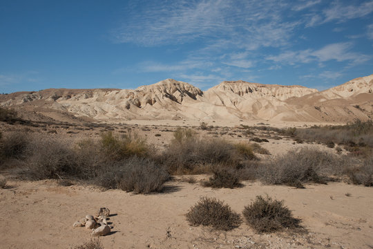 Landscape of the Negev desert