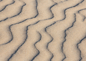 Sand Dune Patterns