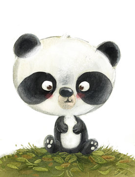 Oso Panda Pequeño