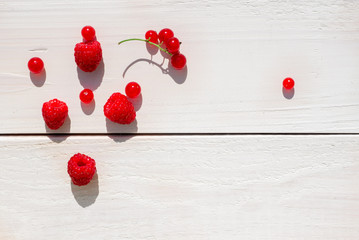 Red berries on a white background