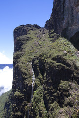 Naklejka premium View from Roraima Tepui - Table Mountain - Triple border, Venezu