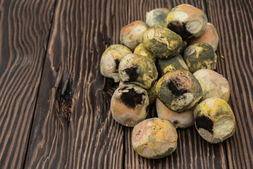 Mouldy bread on wooden board
