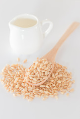 Organic pet wheat grass seeds