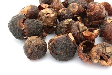 Soap Nuts on White Background