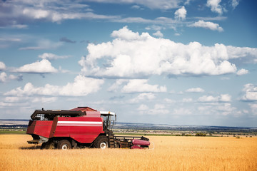 Obraz premium combine harvester