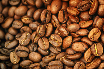 coffee beans