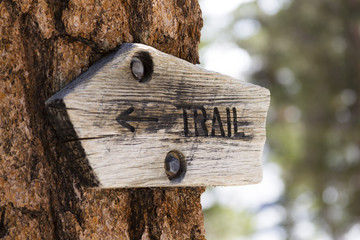 Wood Trail Sign