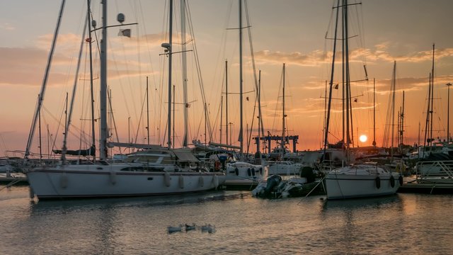 Sailing boats in marina at sanset with ducks. Time lapse, 4k.